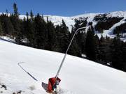 Snow lances in Lachtal