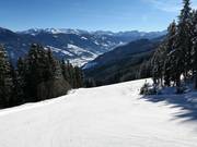Slope to the middle station of the Spieljochbahn
