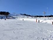 Practice slope in Zieleniec