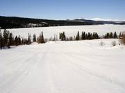 Easy slope at the Galagynten platter lift