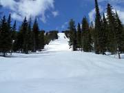 Difficult slope Windfall