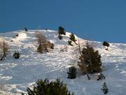 Powder slopes at the Aela ski lift