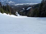 Bearridge downhill run