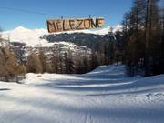 Forest run Mélèzone