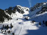 Runs in the Balbachtal