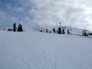 Slope Aurinkokurun Haipakka (No. 43)