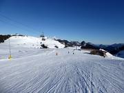 Easy slope Schönblick