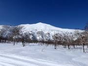 View of the freeride area at Mt. Niseko Annupuri