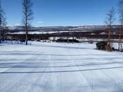 Lower area at the Hemavan Gondol