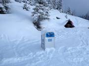 Trash cans are always available