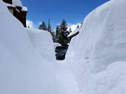 Masses of snow in Solitude