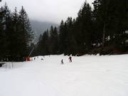 Easy slope of Planards