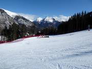 Beginner's meadow Holzstube