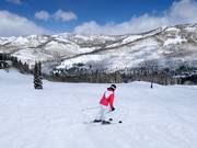 Slope at the Moonbeam Express chairlift