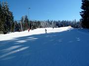 Hinterwies downhill run