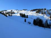 View of the slopes at Mount Standish