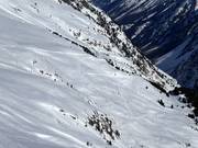View of the 5 km long toboggan run