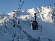 Brauneckbahn - 4pers. Gondola lift (bicable circulating ropeway)