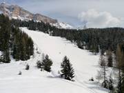 Wide slope at Santa Croce