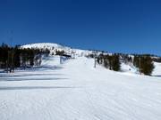 View of the 500-meter-high Kultakero mountain in the Phyä ski resort