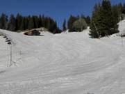 Easy Reuti valley run