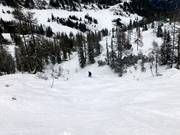 Off-piste terrain in the tree line area