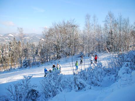 Family ski resorts Olpe – Families and children Hohe Bracht – Lennestadt