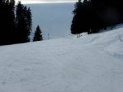 Kaltwasser descent before the junction with the Donauwellen descent