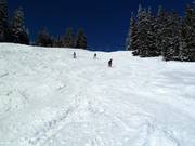 Variants at Sunliner