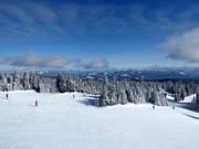 Start of the slopes at Vance Creek