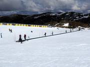Conveyor belt Boardwalk