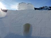 Tip for children  - Toggenburg