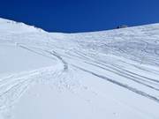 Freeride slopes Brytnest-Grieschumma