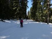 Connecting slope to the Yastrebets gondola