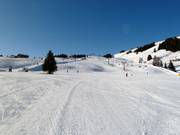 Easy slopes at the Euro chairlift