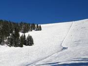 Powder slopes at the Kühhageralm chairlift
