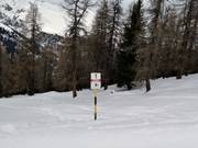 Entering forest areas is prohibited