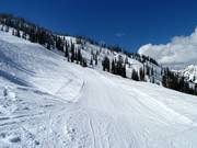 Cedarbowl downhill run