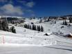 Hochschwarzwald: Test reports from ski resorts – Test report Feldberg – Seebuck/Grafenmatt/Fahl