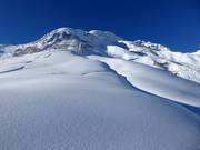 View of the Nidla variant run