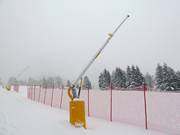Snow lances in San Vito di Cadore