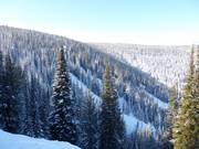 View of the Double Diamond runs on the backside