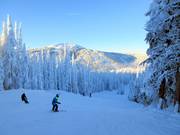 Intermediate slope Grand Return on Mt. Morrisey