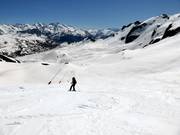 Easy slope in the Zona Portalet