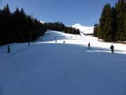 Kreuzboden practice slope
