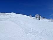 Difficult slope Champion (Annupuri)