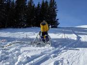 Snow cannon at Rosskopf