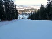 Intermediate forest run