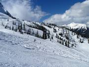 View over the Lizard Bowl