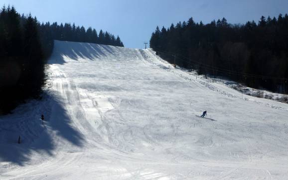 Slope offering Waldshut – Slope offering Menzenschwand (St. Blasien) – Spießhorn